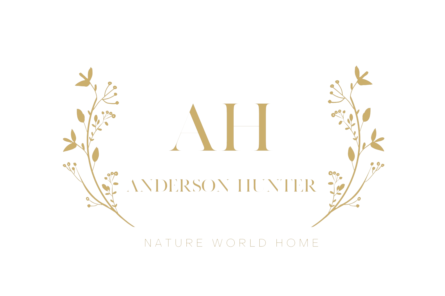Логотип Anderson Hunter